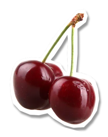 Experience personnalisee